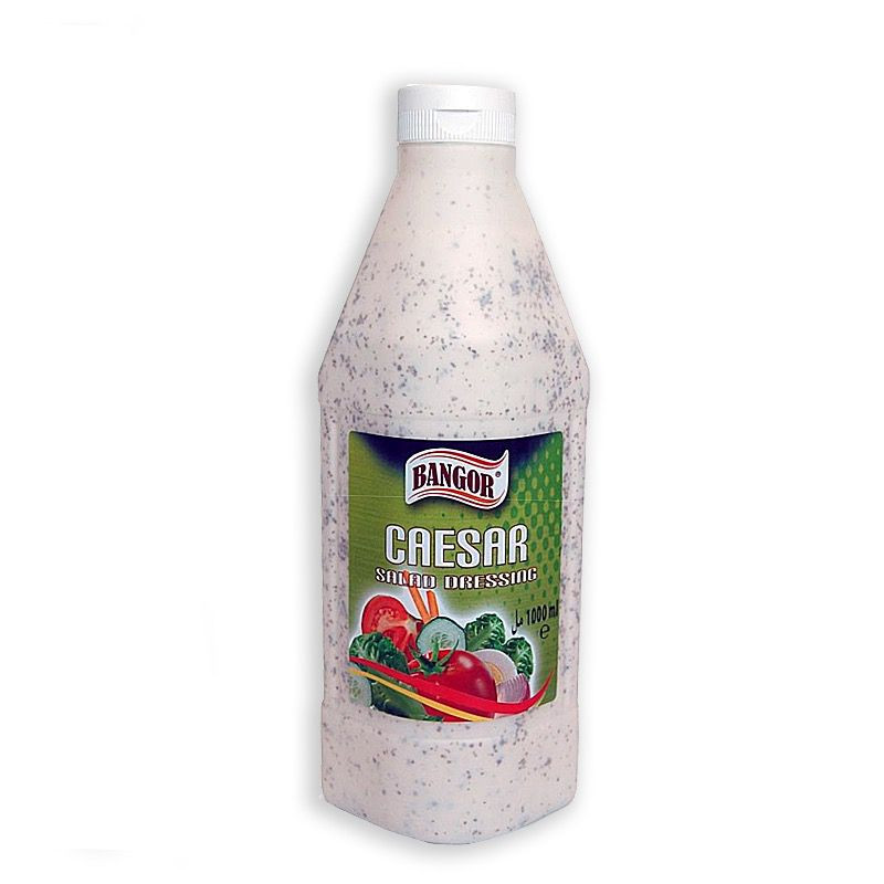 SALSA ENSALADA CESAR B. PLÁS. ANTIGOTEO 6/1 lt.